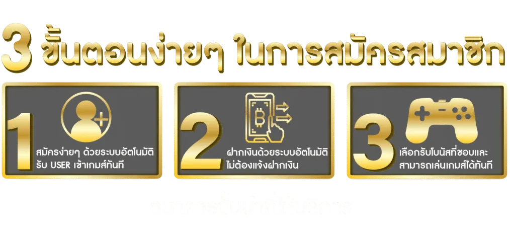 224สล็อต